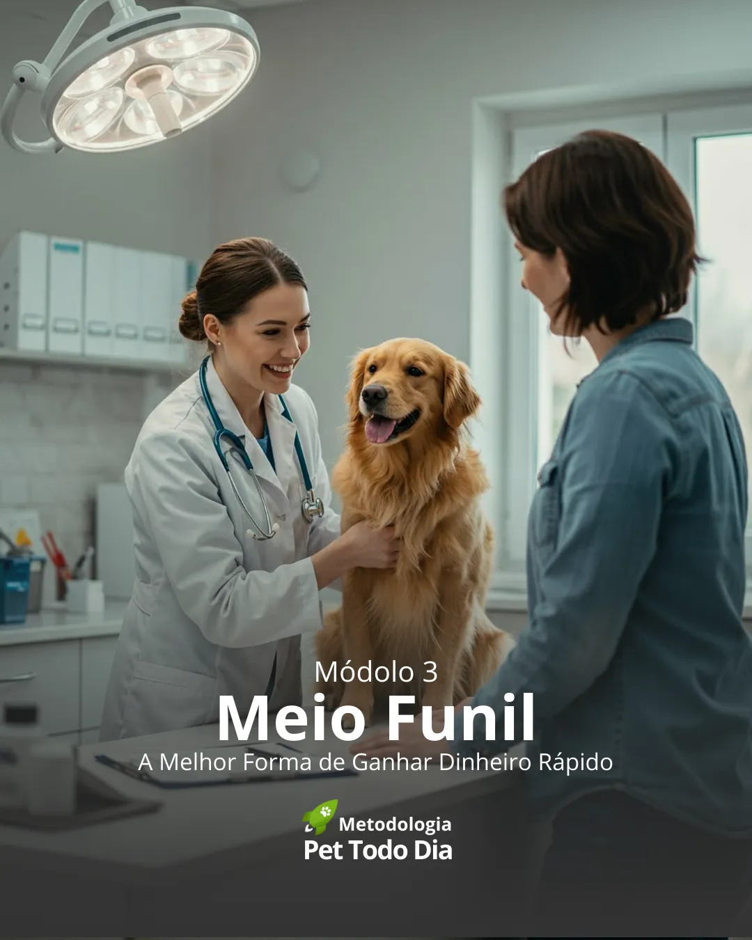 Capa do Módulo 1 MPTD