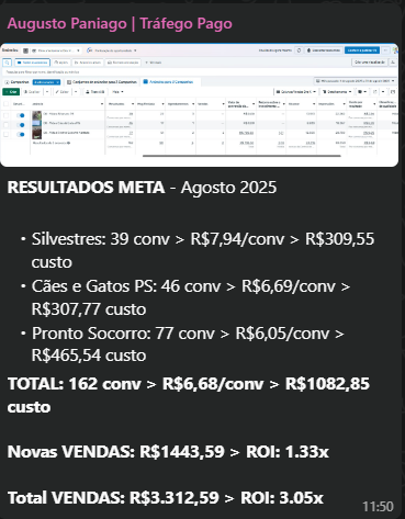 Relatório de resultados do Meta Ads