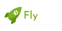 Fly Vet