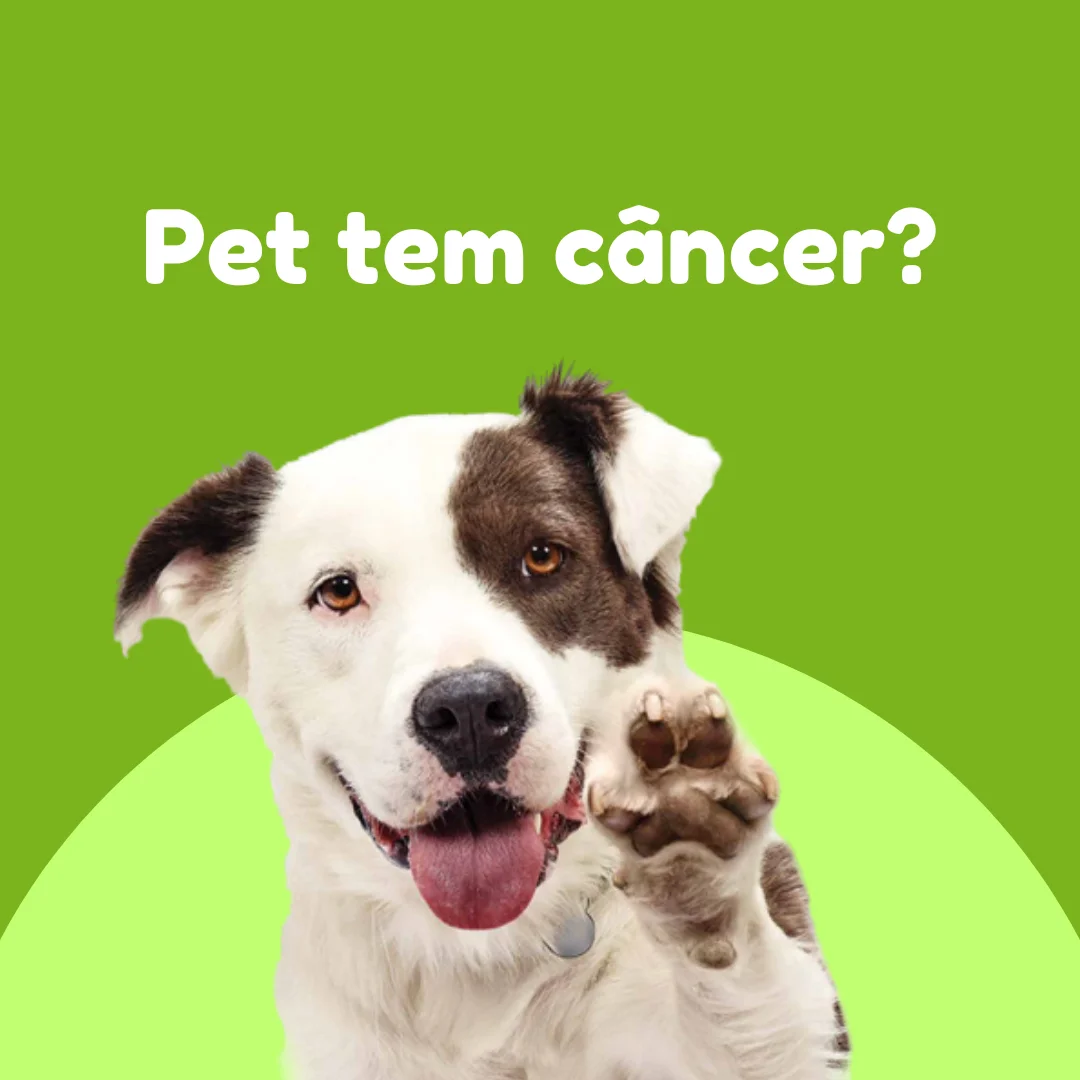 Post: Pet tem câncer?