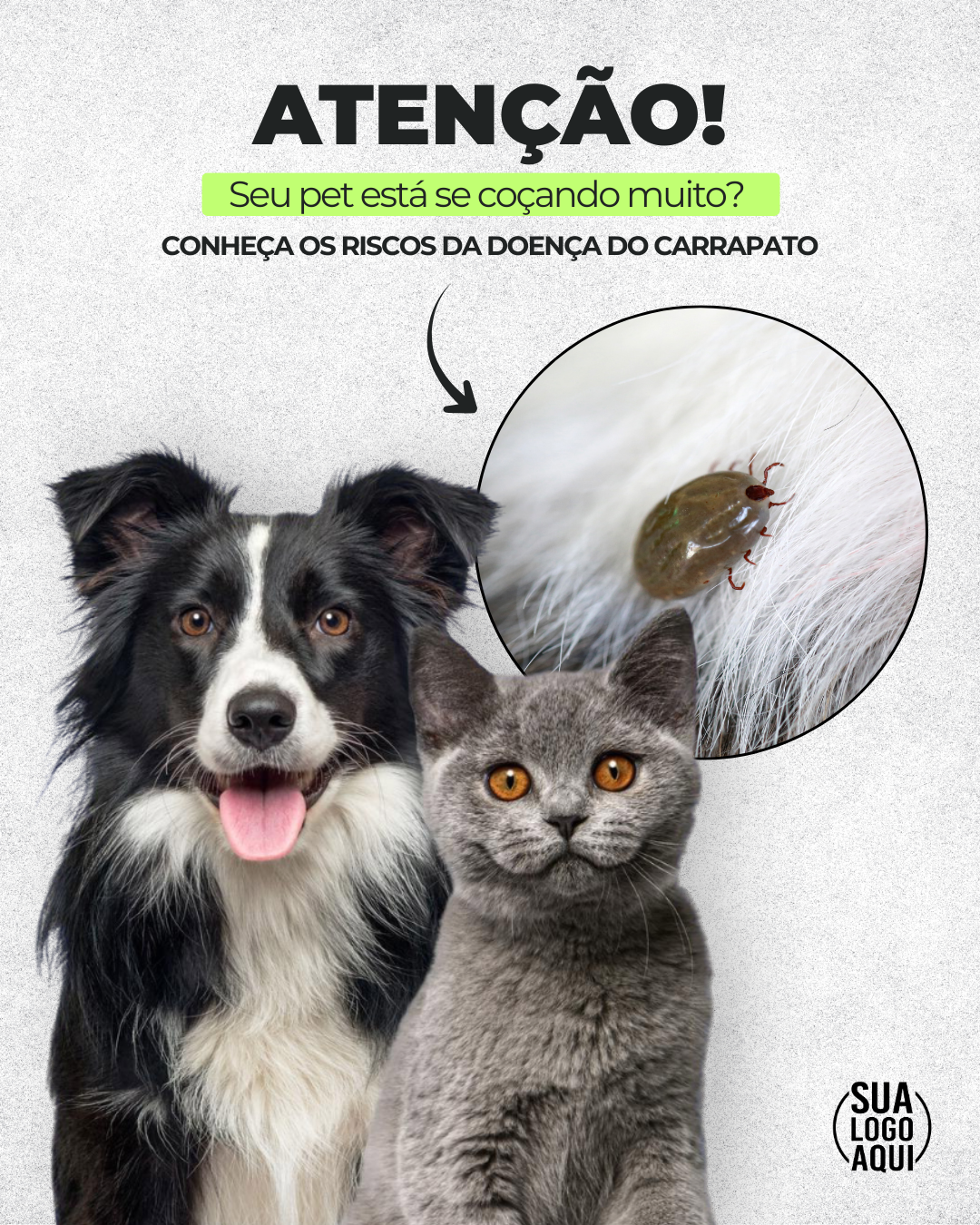 Post Premium — Atenção! Doença do carrapato