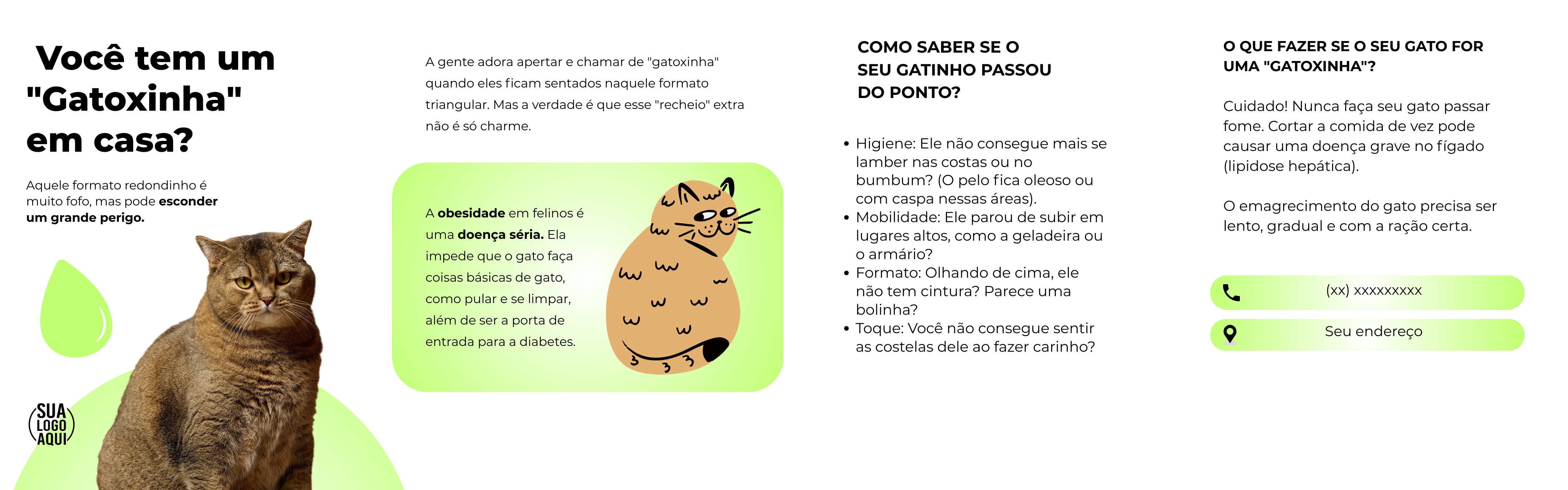 Carrossel Premium — Gatoxinha em casa