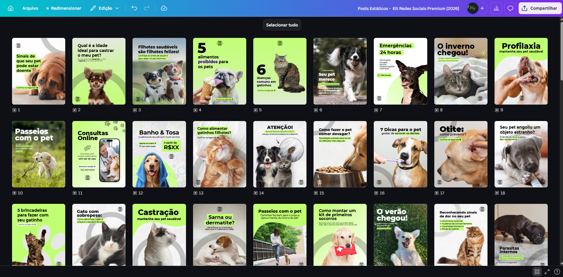Kit Premium — Posts no Canva